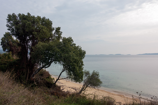 Beautiful scenery by the sea close to Ouranoupoli village, Chalkidiki, Greece, on a cloudy day