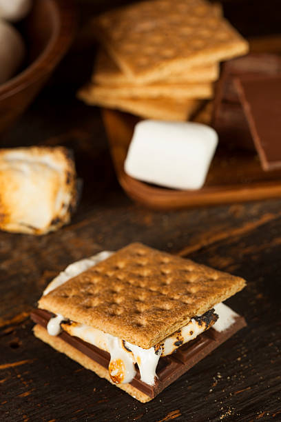 istock Homemade S'more with chocolate and marshmallow 176567006