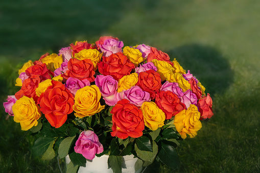 bouquet of flowers is a composition of multicolored roses on a green grass background. The background for the postcard.