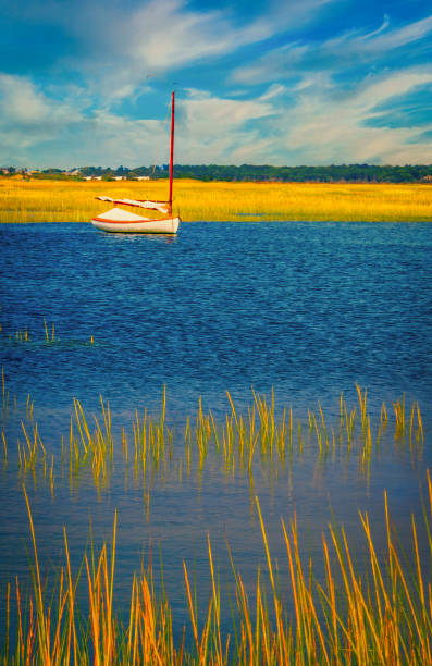A small single masted cat boat is moored at the edge of a salt marsh on Cape Cod on a late August afternoon.
