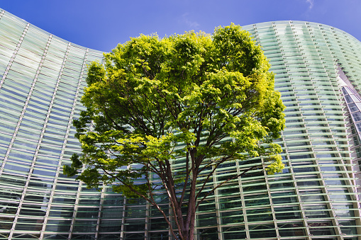 Tokyo, Japan - April 08, 2023: National Art Center in Roppongi, Minato. The modern building has been designed by Kisho Kurokawa. It is one of the largest exhibition spaces in the country