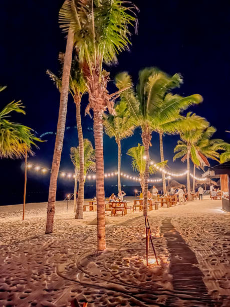 istock Palm trees guiding the way to the restaurant 1765710882