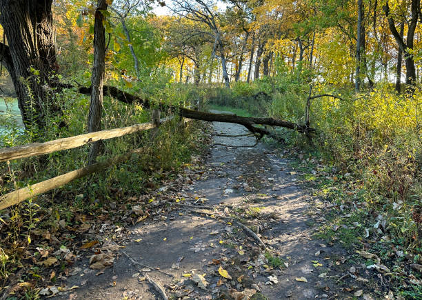 Cleared Tree Path Block 190+ Fallen Tree Blocking A Path Stock Photos, Pictures & Royalty-Free ...