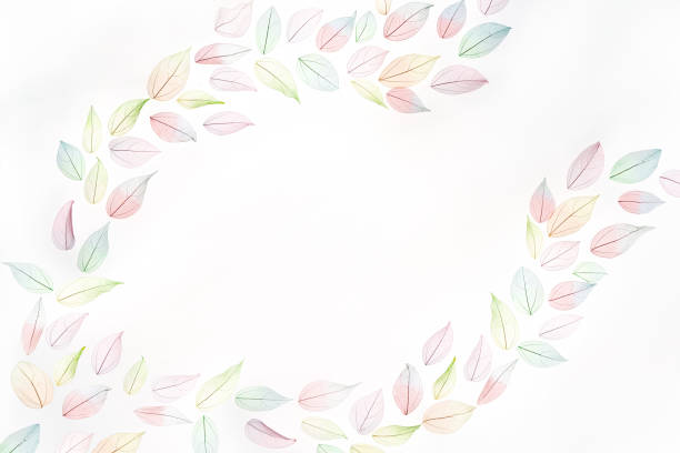 Decorative Frame made of multicolor, transparent leaves skeletons with a beautiful texture on the white. Pastel color leaves background texture. Selective focus. copy space. Fall, autumn concept.