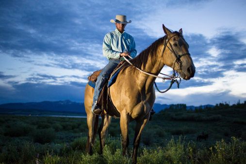 Cowboy with his horse in the field at dusk.