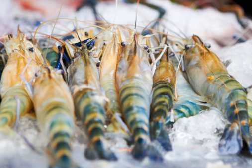 Steamed prawns in street food market