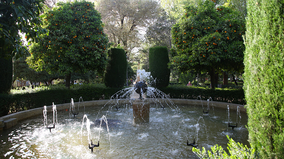 This photo was taken in the gardens called Paseo La Bomba in Granada, Andalucia, Spain.