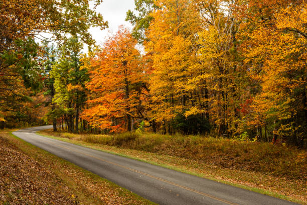 istock Autumn Along the Blue Ridge Parkway 1765811301