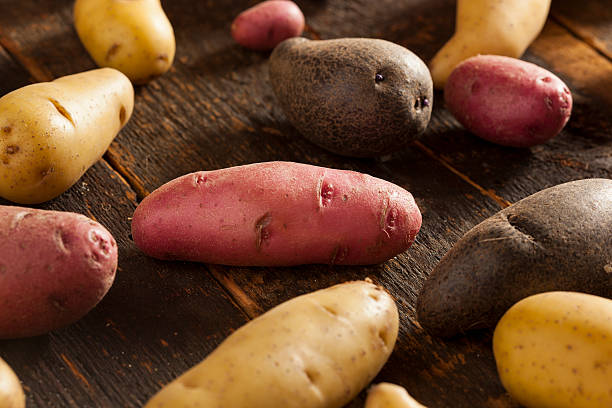 istock raw organic fingerling potato medley 176581565