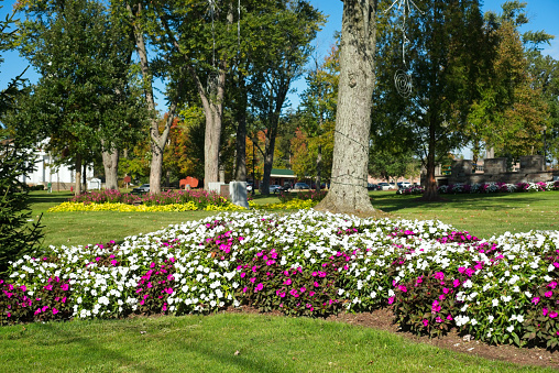 A crescent shaped bed of pink and white impatiens graces the town square lawn in Twinsburg, Ohio