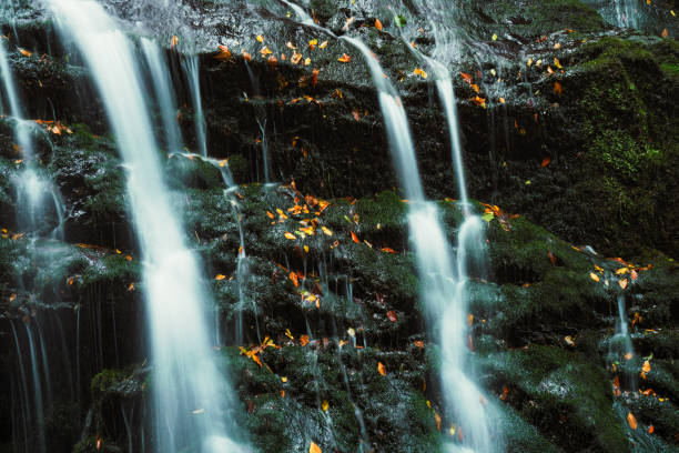 waterfall long exposure and beautiful fall colors photography
