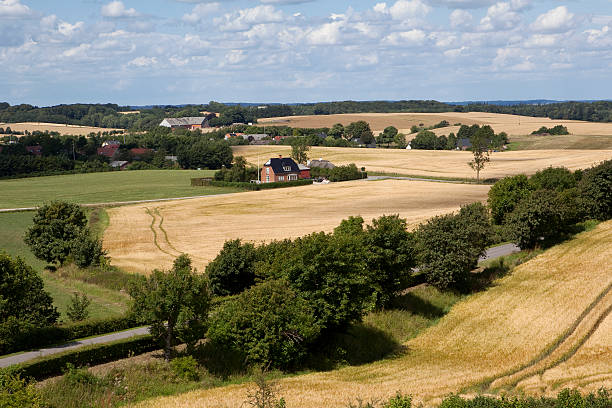 istock Danish Countryside during the Harvest 176583649