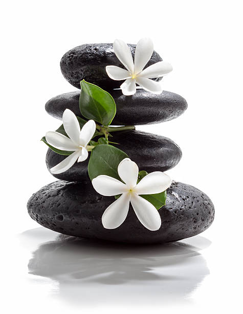 белый цветок массаж - tranquil scene stone massaging zen like стоковые фото и изображения