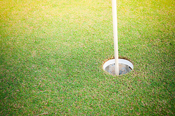 istock Golf ball on lip of cup 176584648