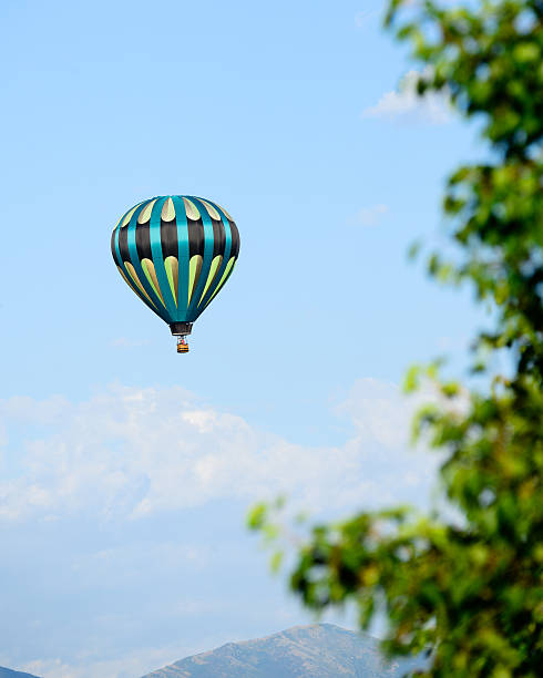 istock Hot Air Balloon Through The Trees 176585737