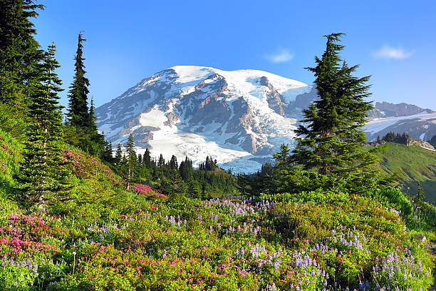 istock Beauty In Nature 176586650