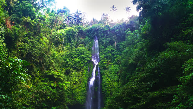 Majestic Fiji waterfall in lush rainforest gorge with tropical foliage.