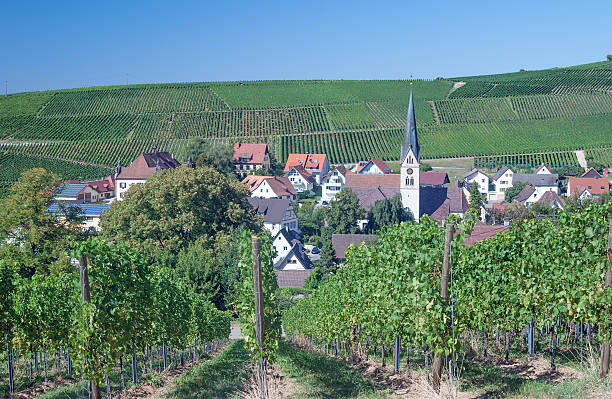 istock Baden Wine Route,Black Forest,Germany 176588479