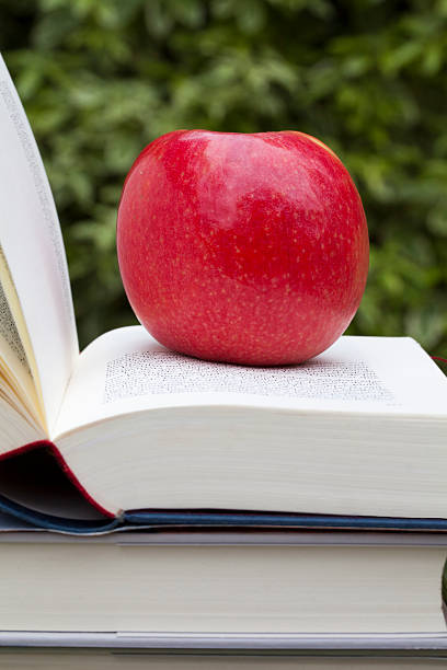 istock Reading in the garden, books and red apple 176588590