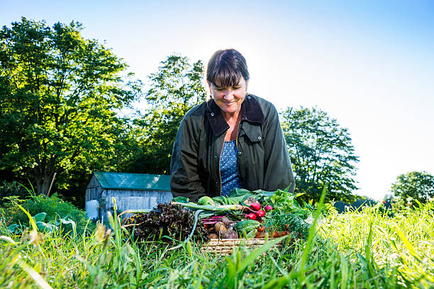 istock Proud vegetable gardener in her garden 176588651