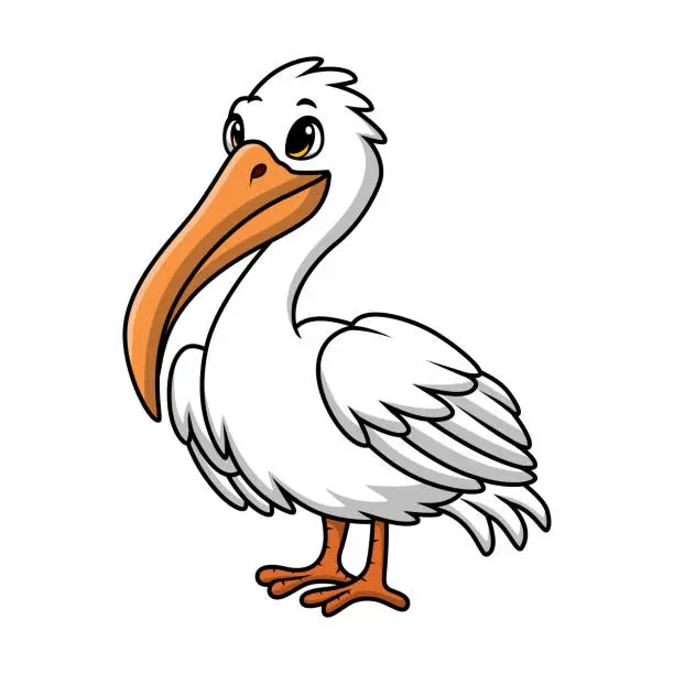 Vector illustration of Cute pelican cartoon on white background