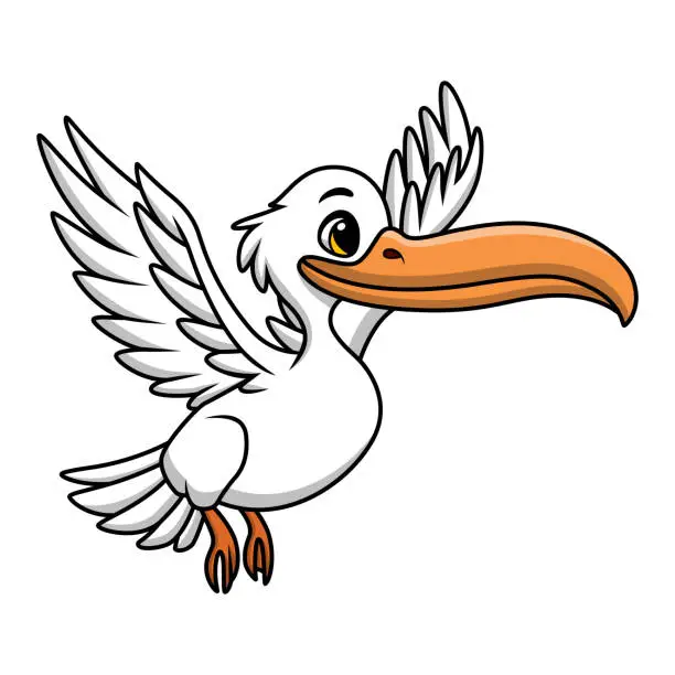 Vector illustration of Cute pelican cartoon on white background