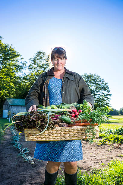 istock Fresh produce from the vegetable garden 176590285