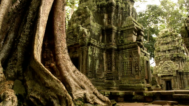 Cambodian UNESCO World Heritage Site Ta Prohm temple video HD