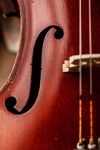 Close-up color photograph of a cello's f-hole and strings