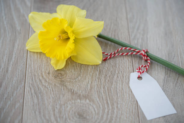 Close up of delicate yellow daffodil placed on a wooden table next to a tag to write a delivery message.