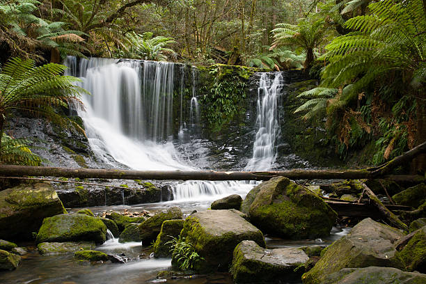 istock Horseshoe Falls in Mt Field National Park 176597147