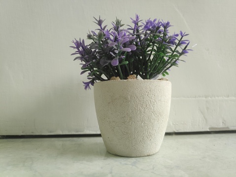 decorative flowers in white pots on a white background