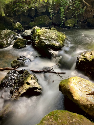 view of a mountain stream with white water flowing through stones in a green environment in summer