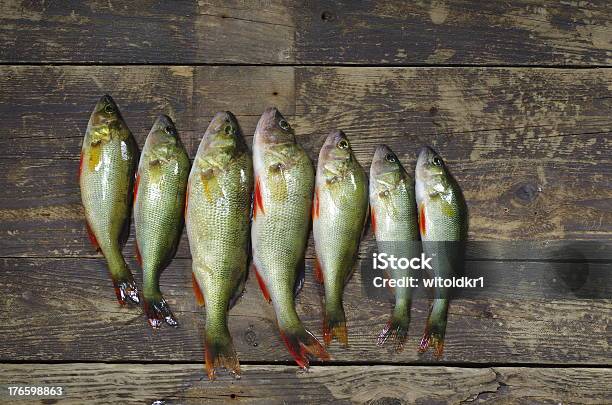 Trofeo Di Pesca - Fotografie stock e altre immagini di Ambientazione esterna - Ambientazione esterna, Cibo, Composizione orizzontale