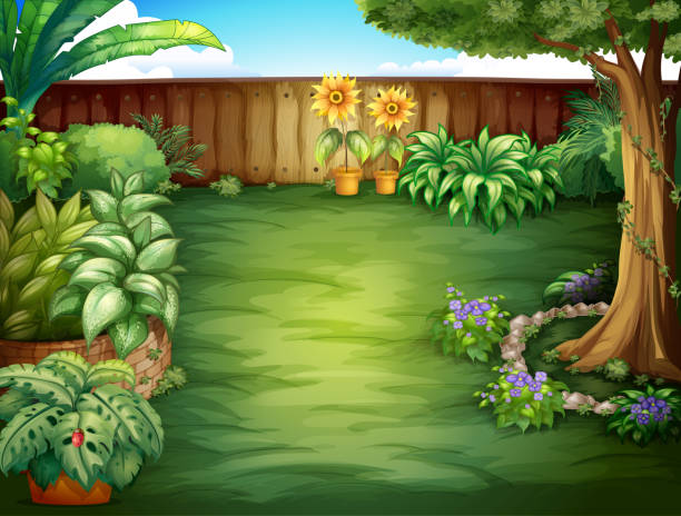 Beautiful landscape Beautiful landscape in a nature sunflower vine stock illustrations