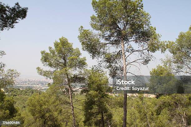 Murcia Stockfoto und mehr Bilder von Fotografie - Fotografie, Horizontal, Im Freien