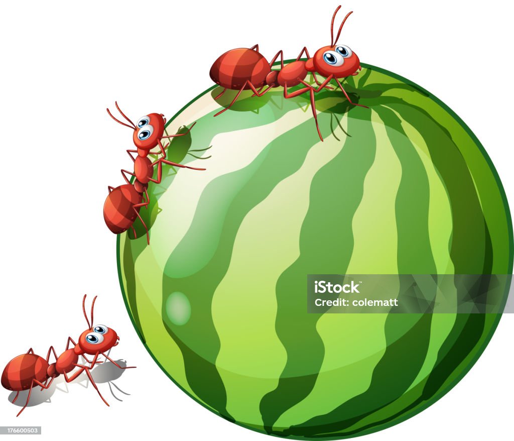 Sandía y ants - arte vectorial de Alimento libre de derechos