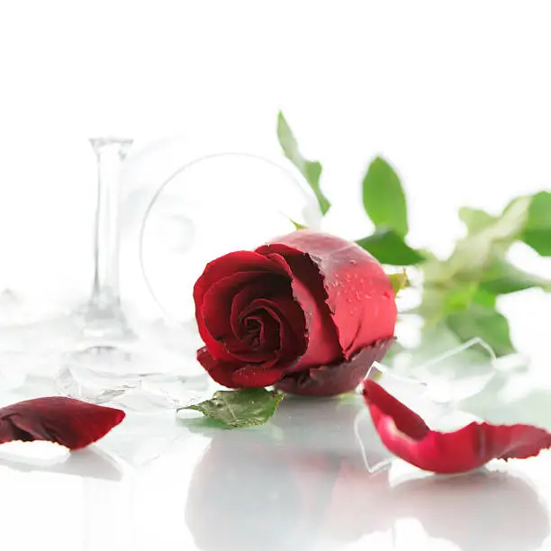 Red rose and broken glass of wine on white background