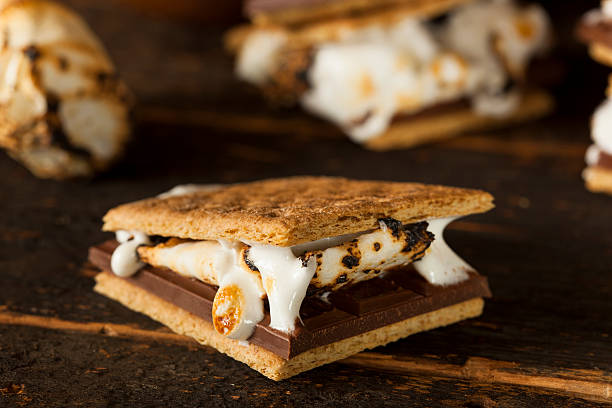 istock Homemade S'more with chocolate and marshmallow 176603316