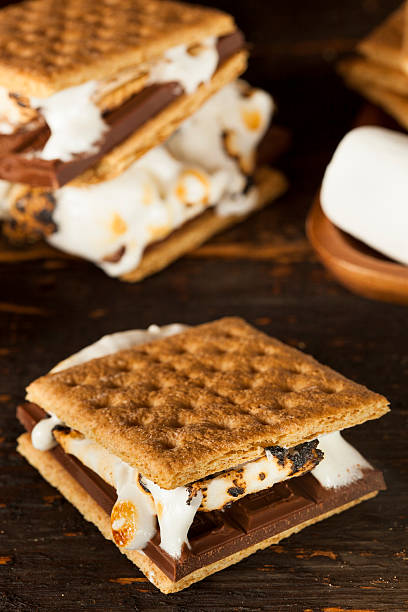 istock Homemade S'more with chocolate and marshmallow 176603334