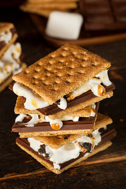 istock Homemade S'more with chocolate and marshmallow 176603510