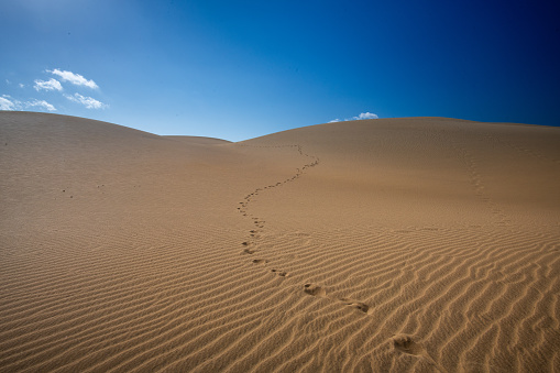 Footprint of a person after walking in sand dunes desert in Maspalomas