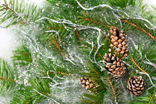 Closeup of pine cones on the Christmas tree. Christmas or New Year background with green fir branches, cones and ice sparkles. Winter concept, Christmas and New Year atmosphere