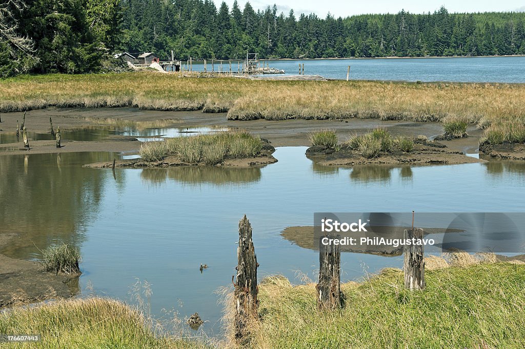 Oyster-Aufbereitungsanlage auf bay in Washington state - Lizenzfrei Anlegestelle Stock-Foto