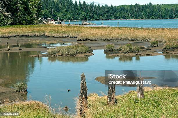 Planta De Procesamiento De Ostras A La Bahía En El Estado De Washington Foto de stock y más banco de imágenes de Agua