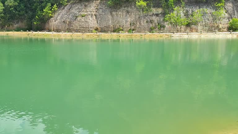 swamp pond with wild tree grass, clear blue sky background