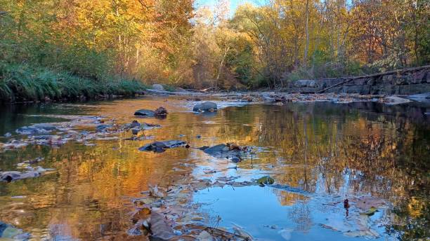 istock Etobicoke Creek view in autumn 1766091481