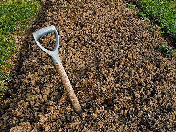 istock Abandoned broken fork on allotment - gardening background, metaphor 176609457