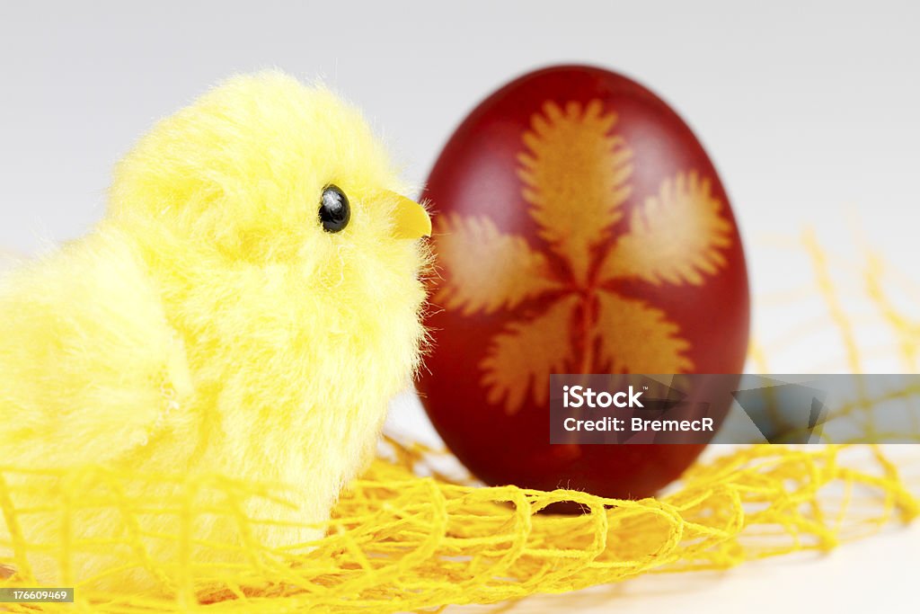 chick y huevo de pascua - Foto de stock de Alimento libre de derechos