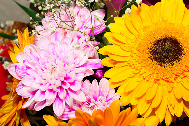 istock Colorful flowers bouquet 176611539